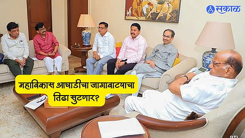 MVA Meeting 