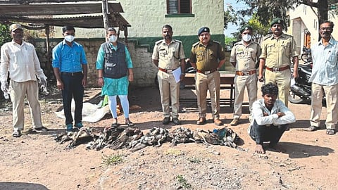 Forest Department Chikkodi 