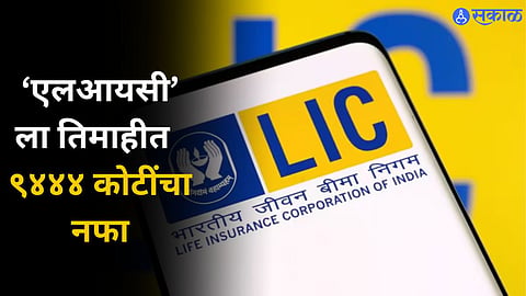 Life Insurance Corporation Of India 