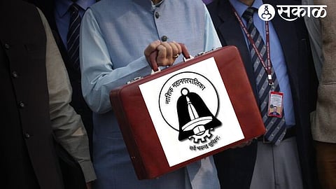 NMC Budget