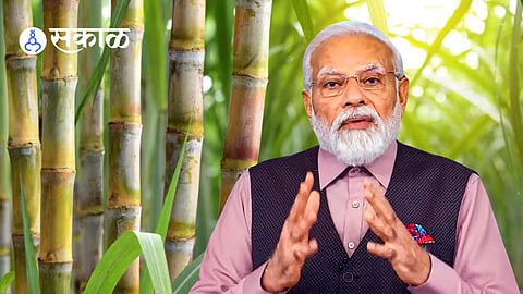 Sugarcane FRP