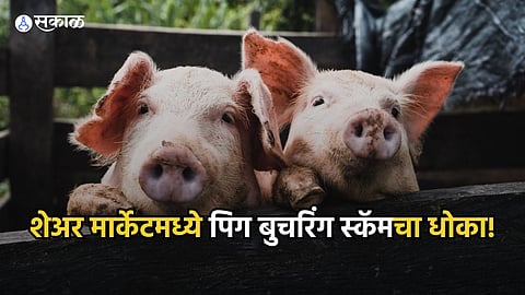 Pig Butchering Scam