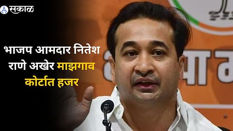 Nitesh Rane 
