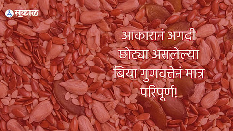 benefit of seeds for health