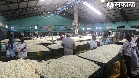 Silk Market File Photo