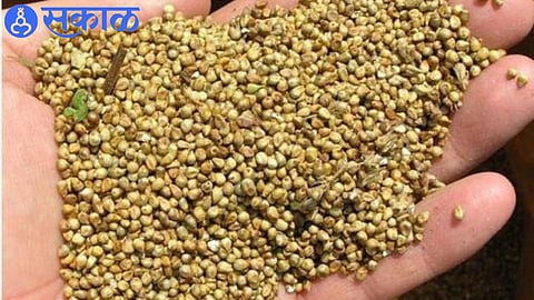 millet