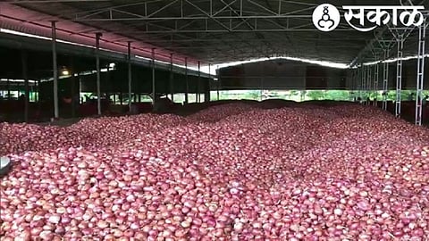 Onion Export Ban