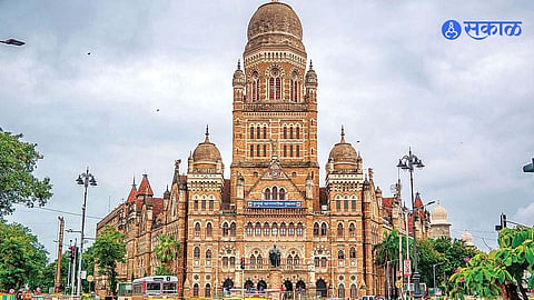 Mumbai News: टीबीचे वाढते प्रमाण पाहता मनपाने हाती घेतली 'ही' मोहीम   