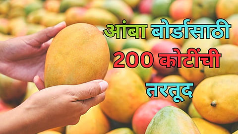 Independent Mango Board Ratnagiri Sindhudurg