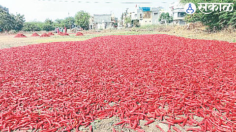 Red Chilli 