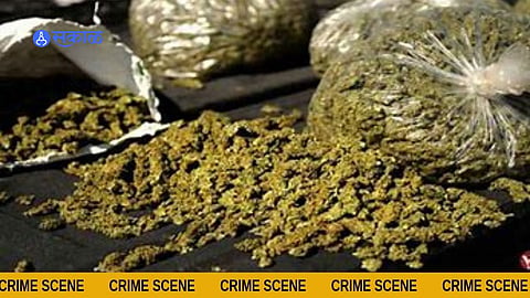 Crime News
