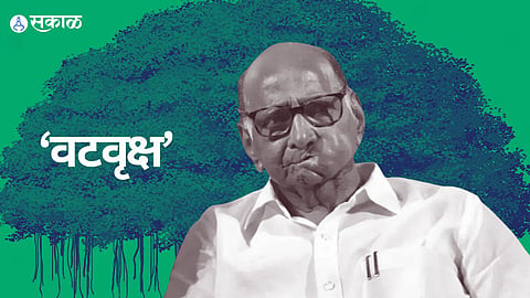 Sharad Pawar Faction Symbol 