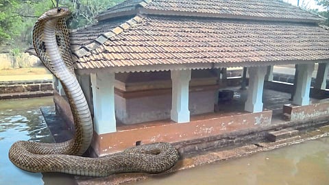 Mallikarjun Temple in Shirambe Village