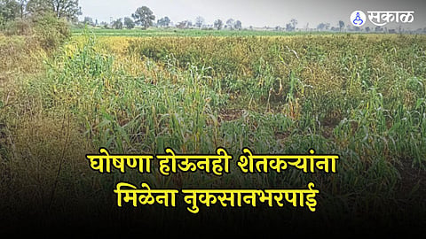 Nagpur: अधिवेशनात शेतकऱ्यांच्या मदतीचा गाजावाजा, पण दीड महिना उलटूनही मिळेना नुकसानभरपाई, सरकारचं दुर्लक्ष