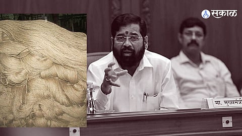 eknath shinde