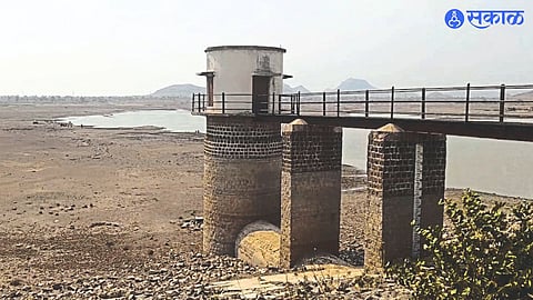 Dead stock remaining in the Waghdardi dam that supplies water to the city.
