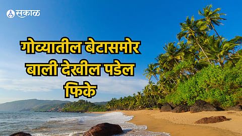 Goa Travel