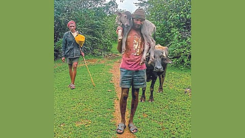 Konkan News