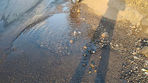 Water Waste