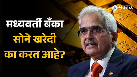 RBI's gold purchase highest in almost two years Why are central banks buying gold