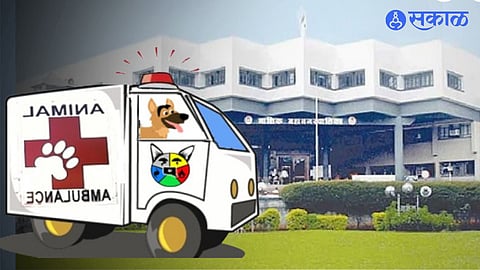 NMC Free Animal Ambulance