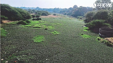 Vinta river which has never flowed this year.