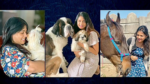 animals