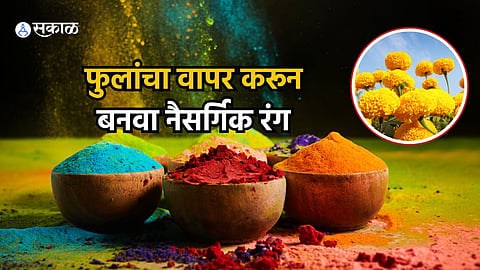 Natural Colours for Holi 2024 