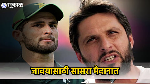 Shahid Afridi 