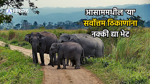 Assam Travel