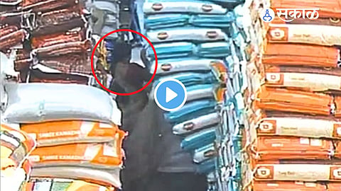 Viral Video