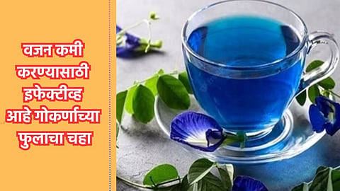 Blue Tea For Weight Loss
