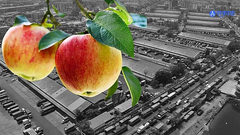 Navi mumbai
