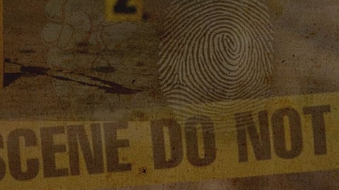 Crime 