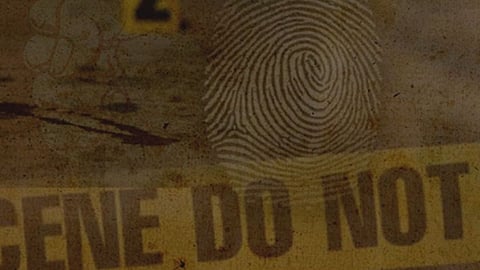 Crime 