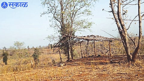 A hut built for living in forest.