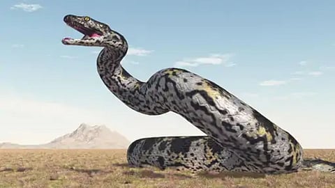 Vasuki Indicus