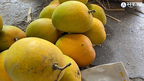 Mango