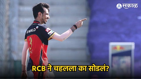 Yuzvendra Chahal | RCB  | IPL