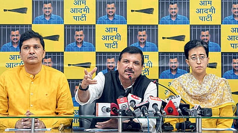 aap ka ramrajya web portal arvind kejriwal and mann govt work ls poll politics