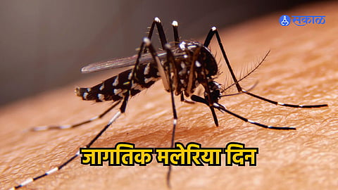 World Malaria Day 2026