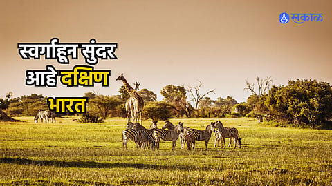 National Park In South India