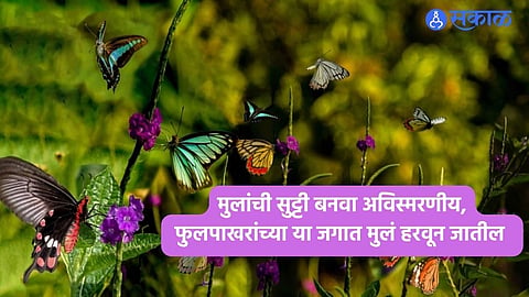 Butterfly Parks