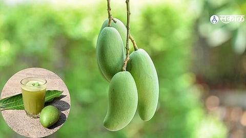 Raw Mango