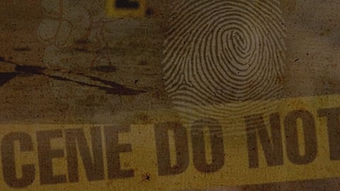 Crime 