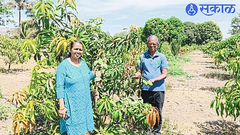 Rekha Dagle along with Retired Upper Sales Tax Commissioner Kisan Dagle showing seventeen types of orchard cultivation at Krishnanagar (Igatpuri).
