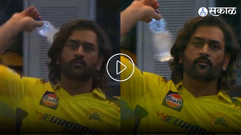 MS Dhoni