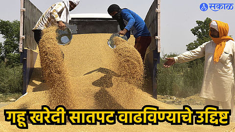 Wheat News India 