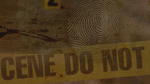 Crime 