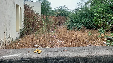 solapur modi cemetery condition municipal corporation